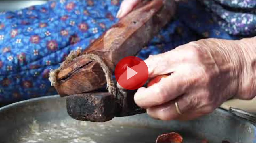 里山と生きる手（立命館大学映像学部　2021年度　学生作品）